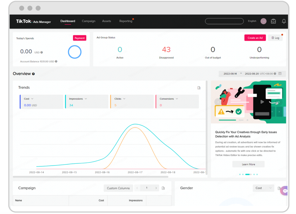 TikTok Ads Performance Analysis Guide Conversion Rate Metric
